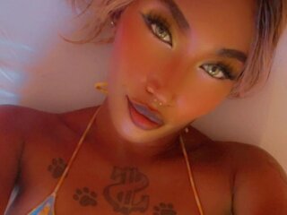 novavibe Porn Show